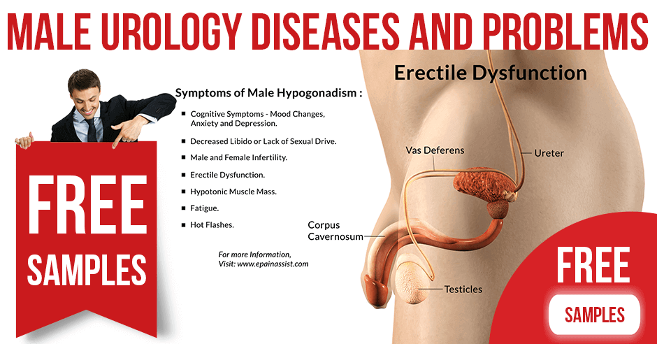 Male Urology Diseases and Problems
