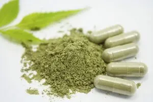 Pycnogenol