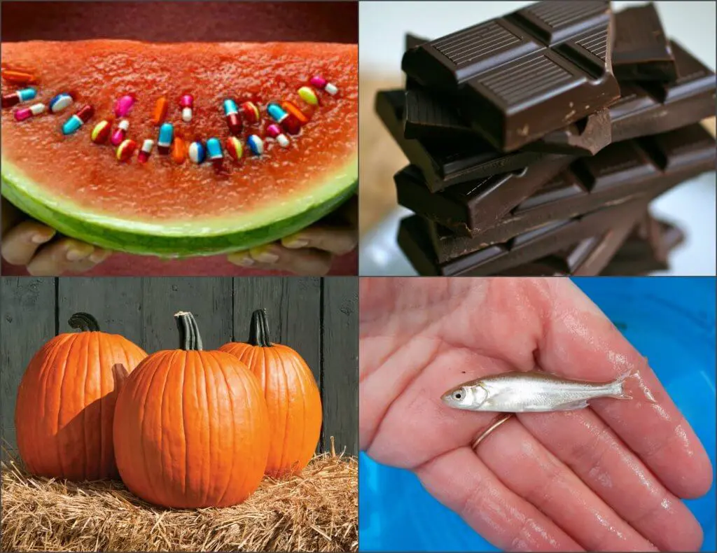 L-Citrulline from food