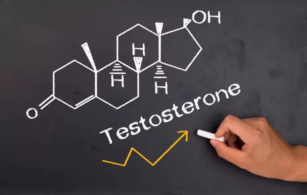 Testosterone | ViaBestBuy Testosterone