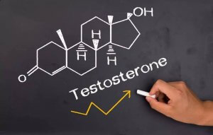 Testosterone