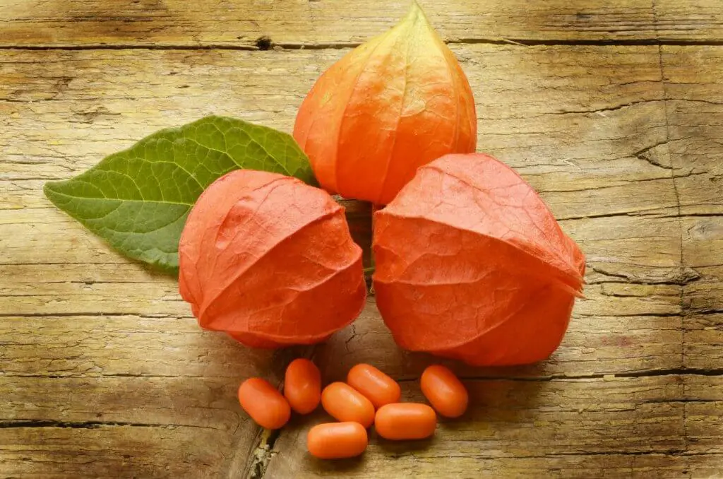 Ashwagandha | ViaBestBuy Ashwagandha