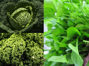 Brassica family | ViaBestBuy Brassica family