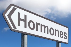 Hormones | ViaBestBuy Hormones