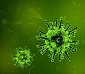Virus
